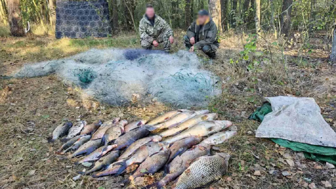 В Пинском районе попались браконьеры