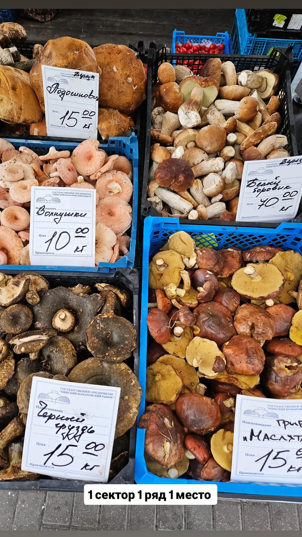 грибы на рынке