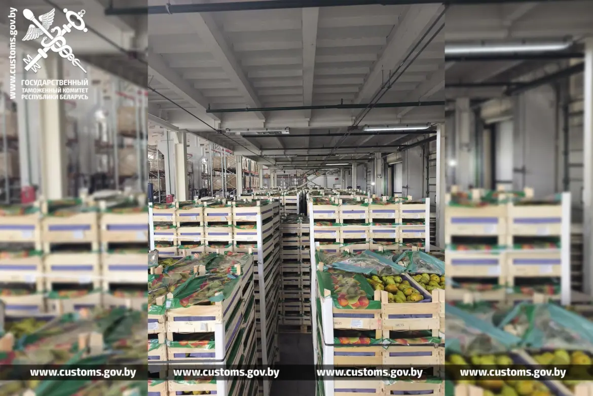 Груши из Беларуси хотели тайно вывезти в Россию груши