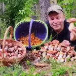 Грибник Александр Шевцов и белые грибы