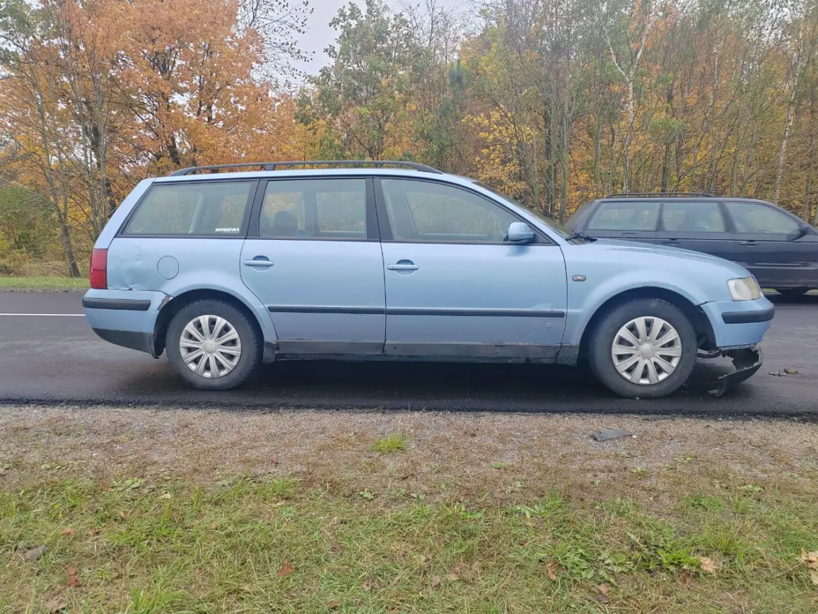 машина которая сбила косулю