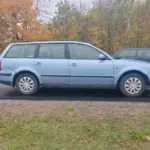 машина которая сбила косулю