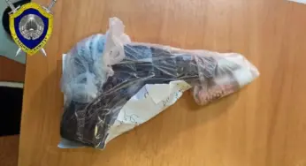 В Кобрине мужик приставил пистолет к голове ребёнка по странной причине