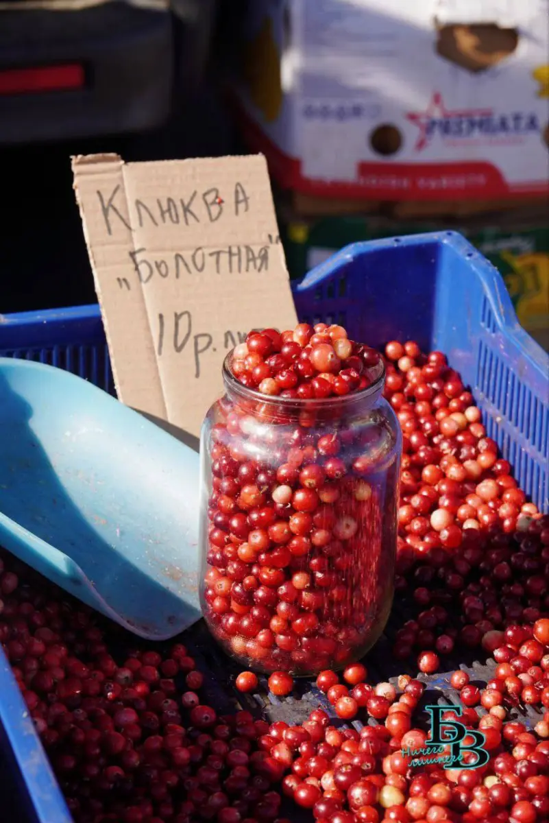 Банка с клюквой на фермерской ярмарке