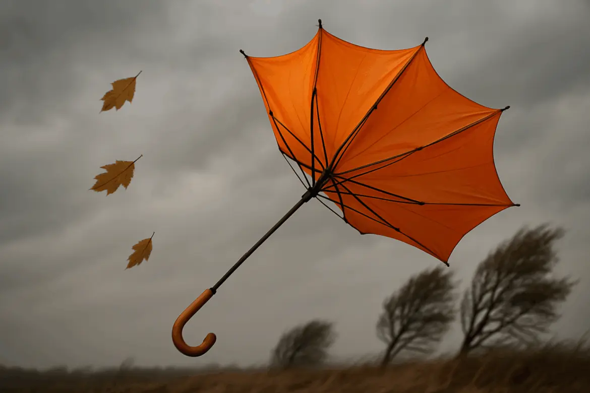 сильный ветер