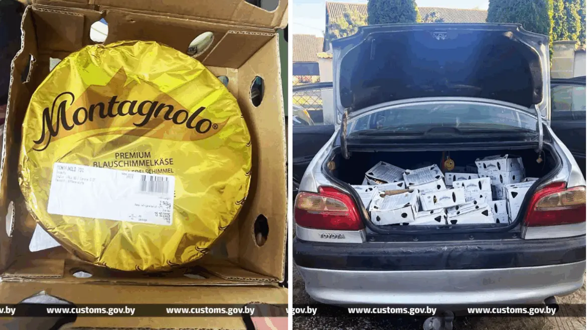 История о том, как сыр не доехал до России Крупная головка сыра Montagnolo и десятки коробок с сыром в багажнике легкового автомобиля, задержанные таможней Беларуси.