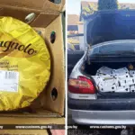 Крупная головка сыра Montag­nolo и десятки коробок с сыром в багажнике легкового автомобиля, задержанные таможней Беларуси.