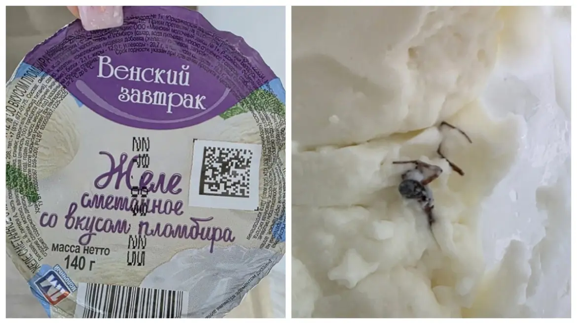 Желе с пауком