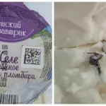 Желе с пауком