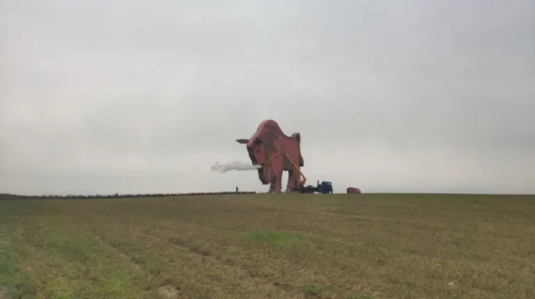 зубр