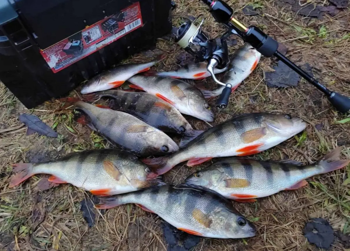 зимняя рыбалка