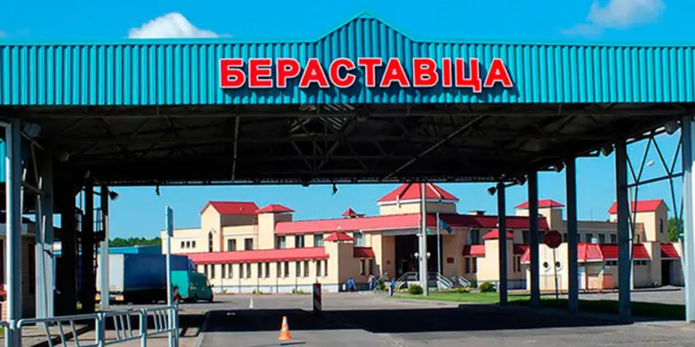 береставица