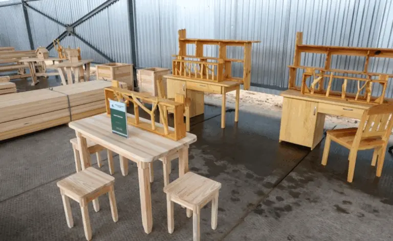 Лукашенко показали мебель