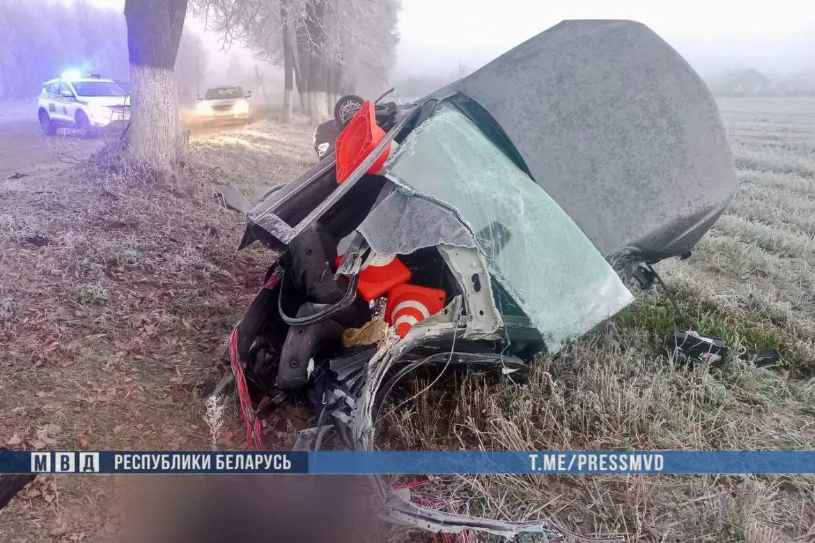 Авария в Ветковском районе