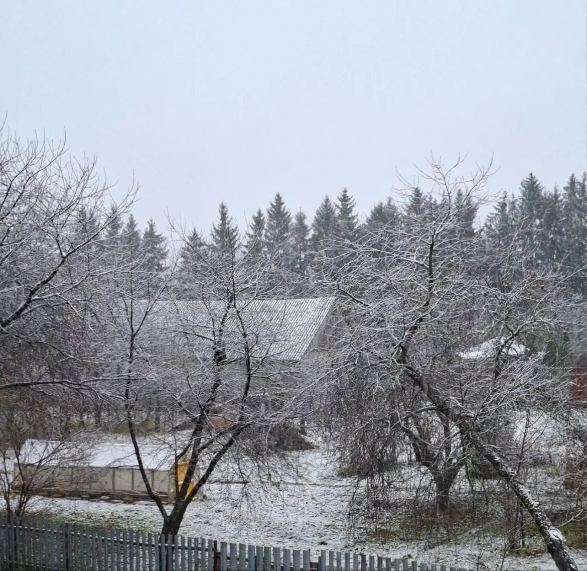 снег в Орше