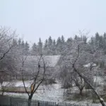 снег в Орше