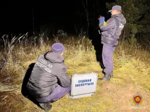 Судебная экспертиза