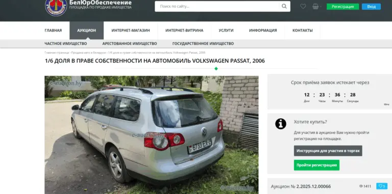 1/6 машины продается с аукциона