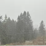 мокрый снег