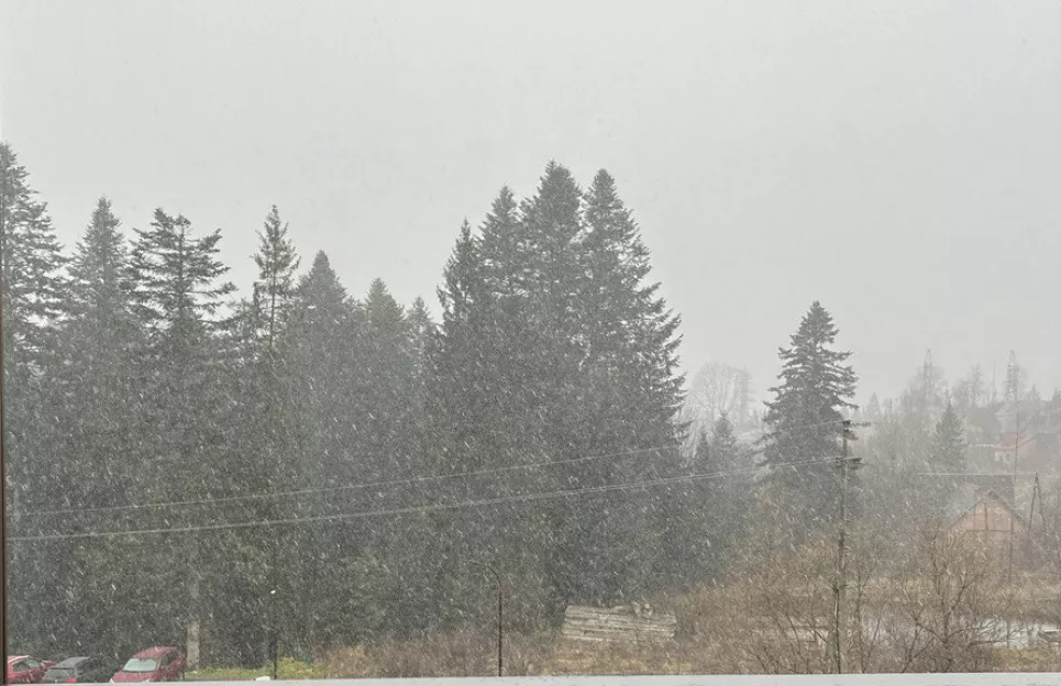 Погода в Беларуси 8 декабря принесёт туман и слабые осадки мокрый снег