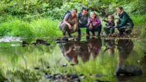 Ручей Хольцапе