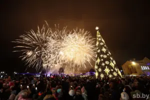 ёлка полоцк