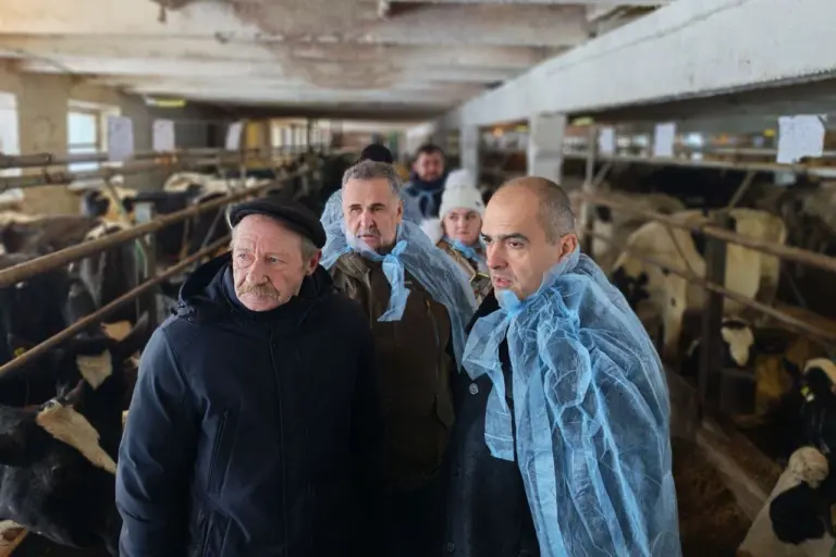 В Витебской области Гайдукевич будет крутить хвосты обосраным коровам гайдукевич