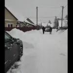 снег в орше