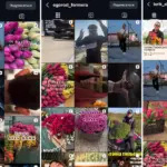 тюльпаны_ск