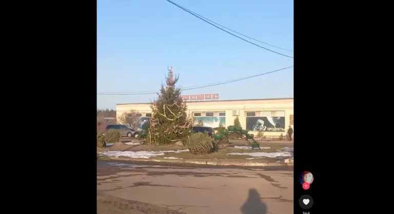 В Рогачёве заметили праздничную ель, которая пережила зиму и дожила до марта ёлка