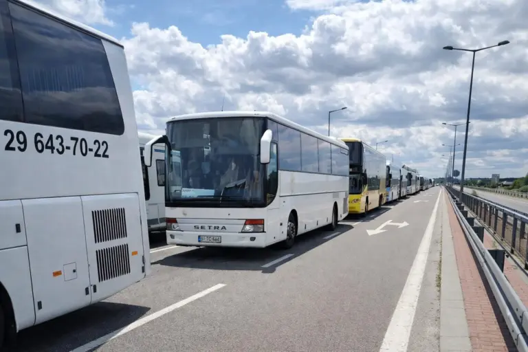 автобусы