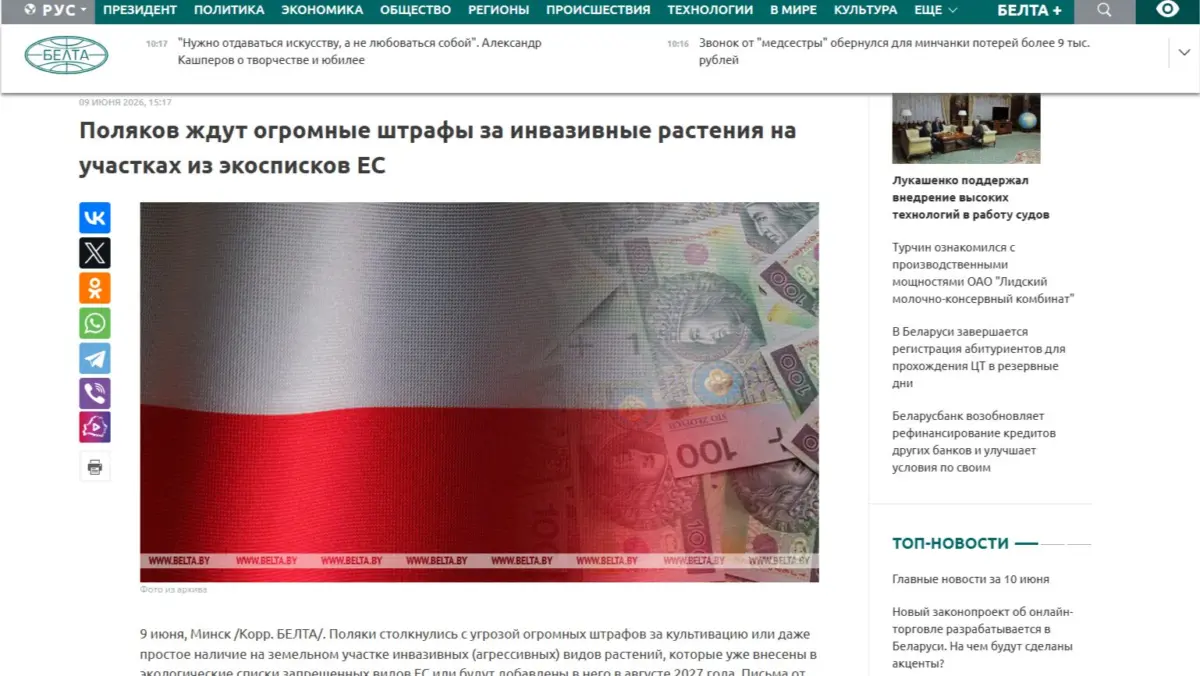пропаганда