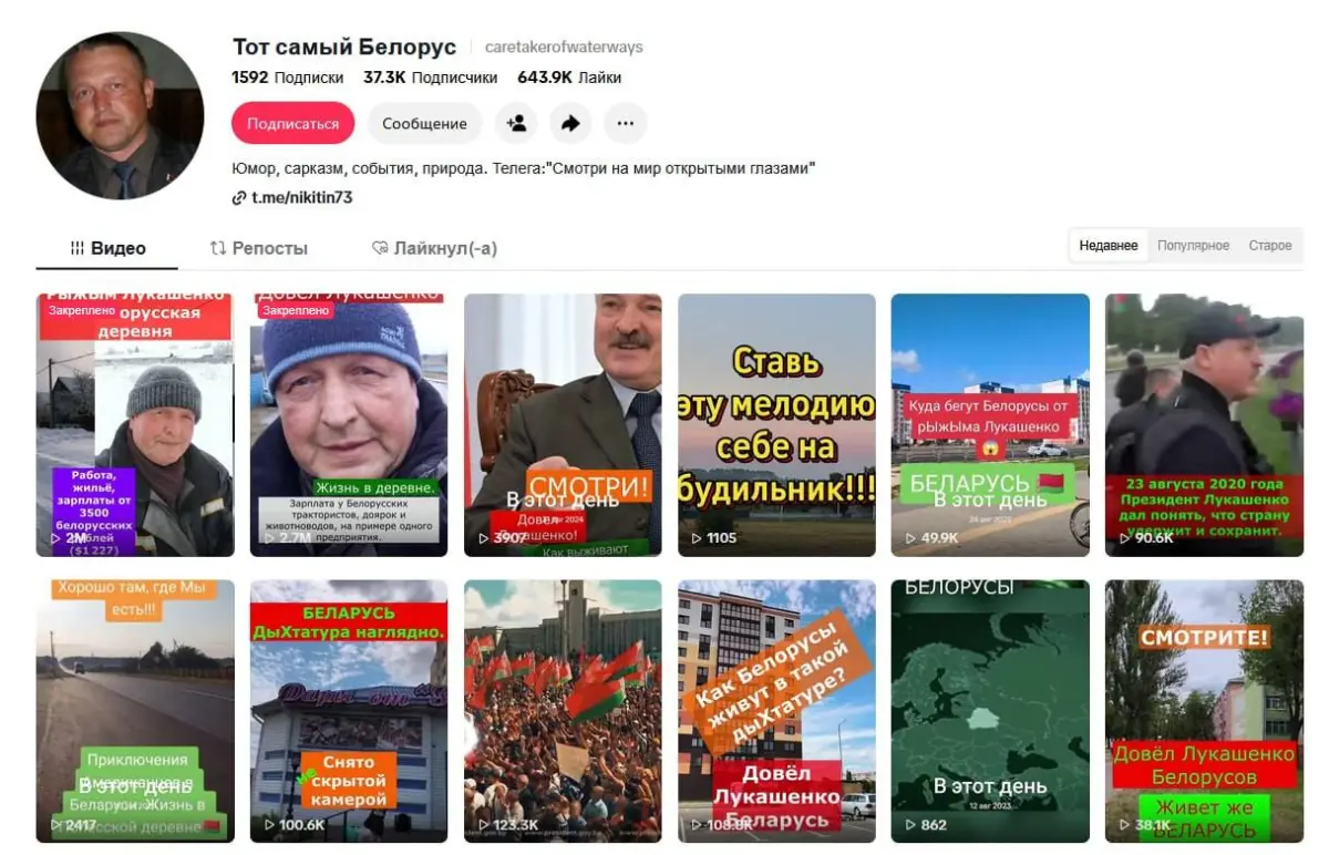 провластный блогер
