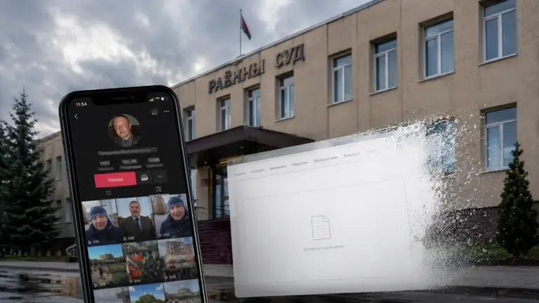 провластный блогер