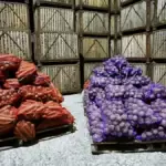Гродненская область закладывает урожай для поставок до конца мая