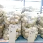 Налетай, подешевело! Какие цены на рынках в Брестской области