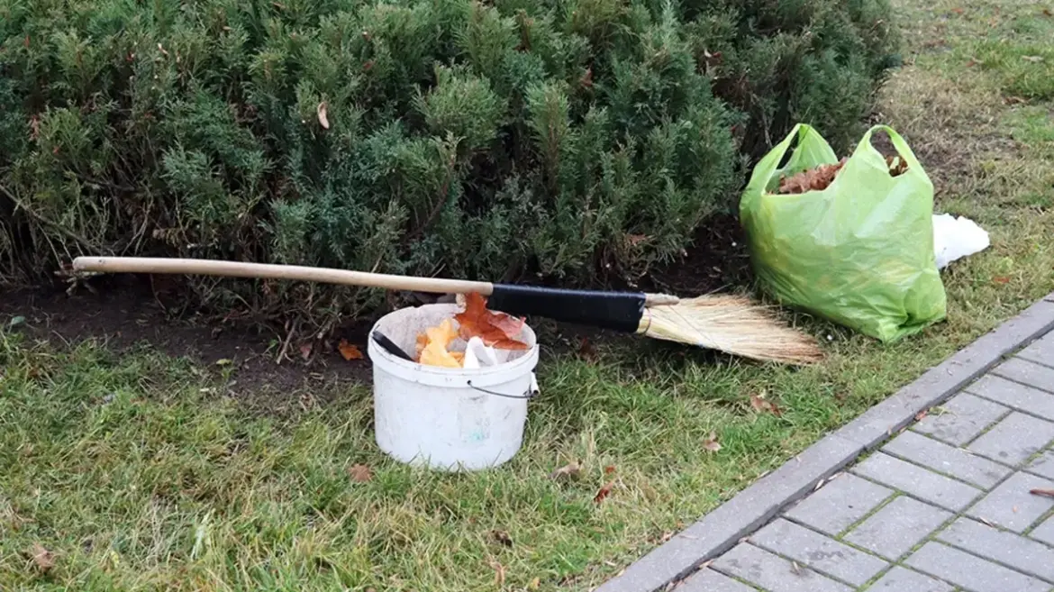Жителей осенью призывают убрать территории, напомнив о штрафах