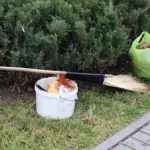 Жителей осенью призывают убрать территории, напомнив о штрафах
